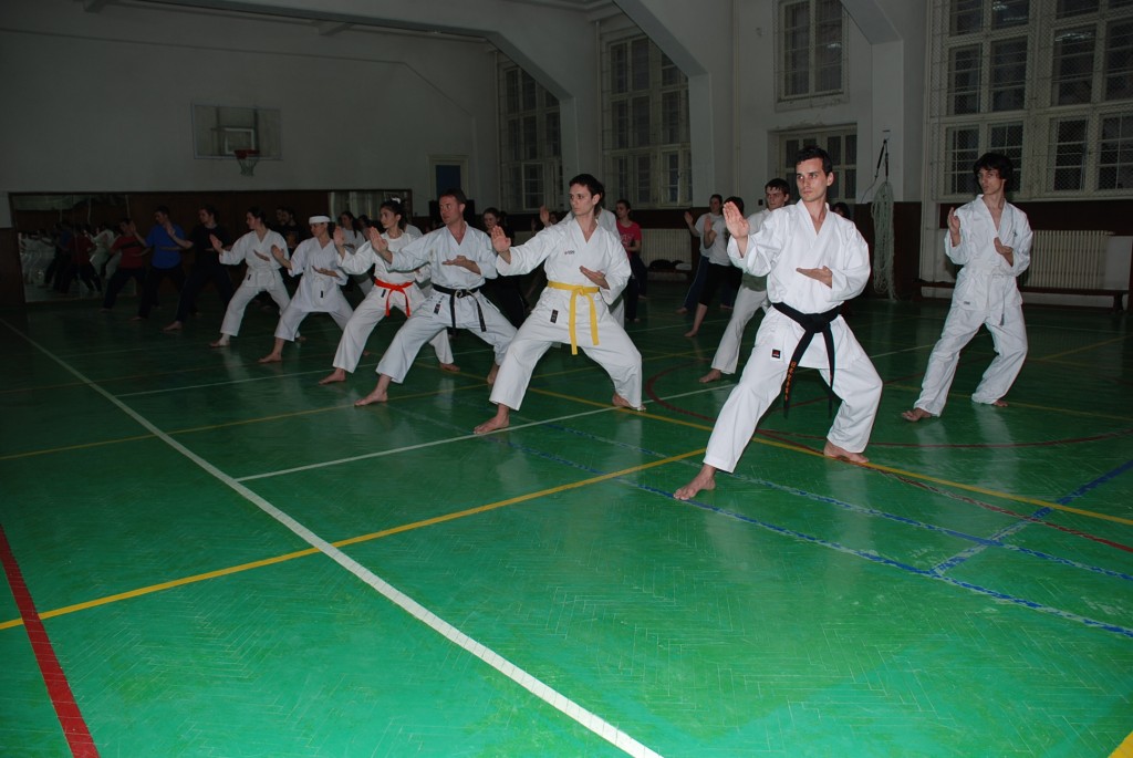 karate-shotokan_6741