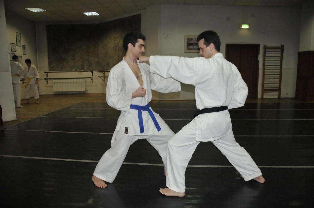 karate-shotokan_7567